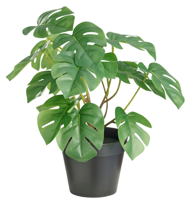 Kunstig monstera plante i potte H32 cm indendørs - DAY